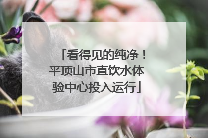 看得见的纯净！平顶山市直饮水体验中心投入运行